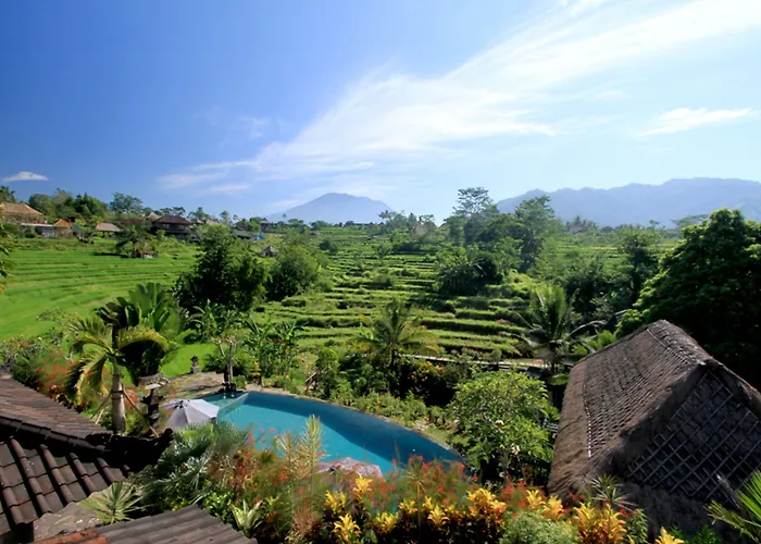 Guest house Abian Ayu 4*