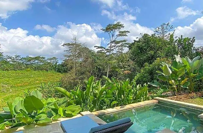 Guest house Abian Ayu Sidemen (Bali)