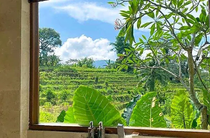 Abian Ayu Guest house